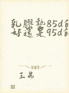 乳胶垫85d的好还是95d的好