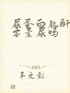 尿蛋白肌酐比需要晨尿吗