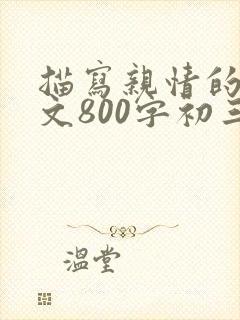 描写亲情的记叙文800字初三