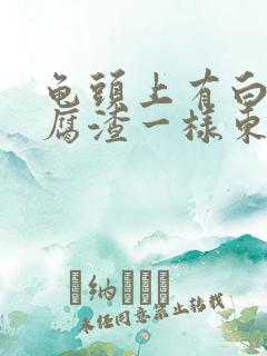 龟头上有白色豆腐渣一样东西