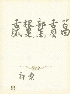 舌根部舌苔厚白腻是怎么回事