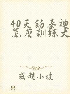 40天的泰迪狗怎么训练大小便