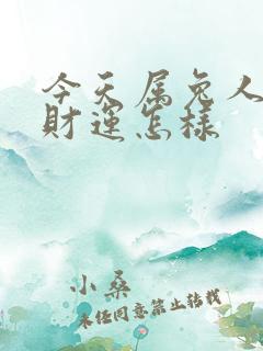 今天属兔人打牌财运怎样