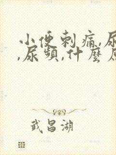 小便刺痛,尿急,尿频,什么原因引起