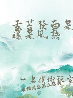 舌苔发白是风寒还是风热