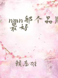 nmn那个品牌最好