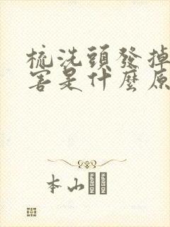 梳洗头发掉得厉害是什么原因