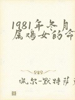 1981年冬月属鸡女的命运