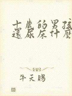 十岁的男孩晚上还尿床什么原因