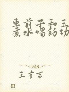 车前子和玉米须煮水喝的功效