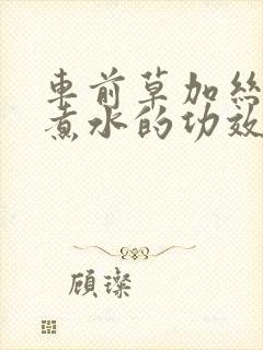 车前草加丝瓜络煮水的功效与作用