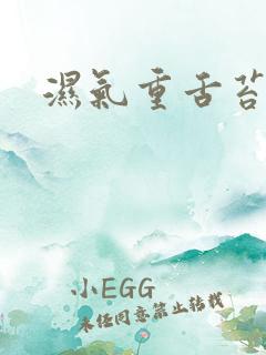 湿气重舌苔白黄