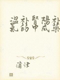 温补肾阳补肾益气的中成药