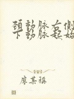 颈动脉右侧锁骨下动脉起始处后壁软斑形成