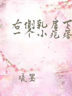 右侧乳房下面有一个小疙瘩,摸着有点疼?