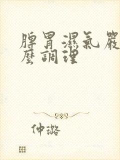 脾胃湿气严重怎么调理