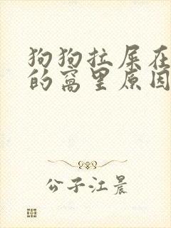 狗狗拉屎在自己的窝里原因