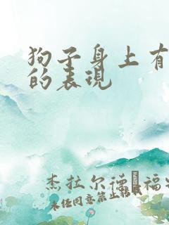 狗子身上有蜱虫的表现