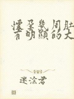 怀孕几周肚子才有明显的大