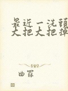 最近一洗头发就大把大把掉为什么