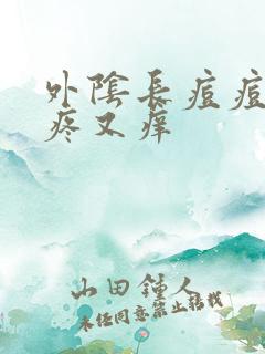 外阴长痘痘,又疼又痒