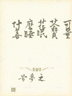 什么花茶可以改善睡眠质量