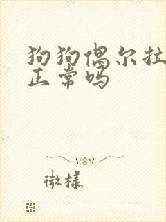 狗狗偶尔拉软便正常吗