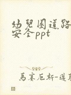 幼儿园道路交通安全ppt