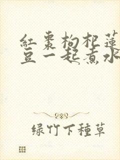 红枣枸杞莲子黑豆一起煮水喝有什么功效