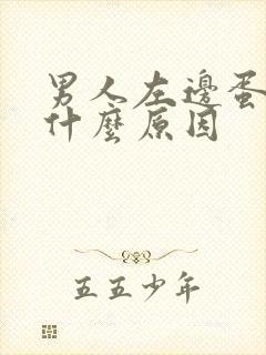 男人左边蛋疼是什么原因