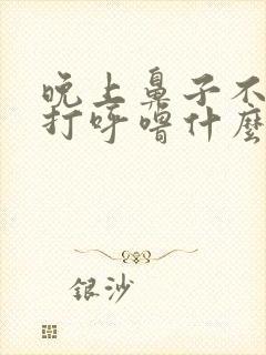 晚上鼻子不通气打呼噜什么原因