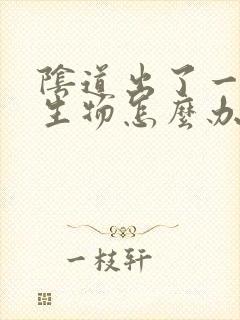 阴道出了一个赘生物怎么办