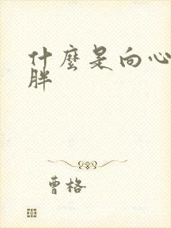 什么是向心性肥胖