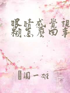 眼睛感觉视力模糊怎么回事