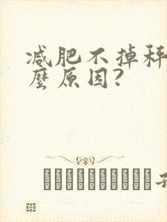 减肥不掉秤是什么原因?