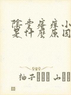 阴囊瘙痒小疙瘩是什么原因