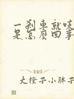 一刹车就吱吱响是怎么回事