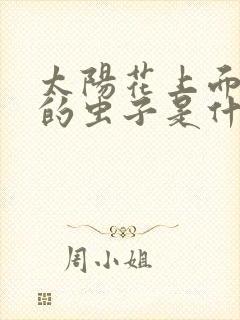 太阳花上面白色的虫子是什么虫