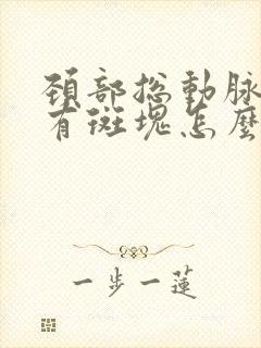 颈部总动脉分叉有斑块怎么办啊