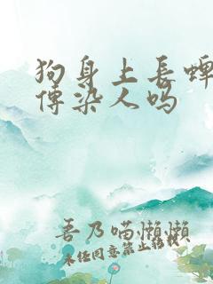 狗身上长蜱虫会传染人吗