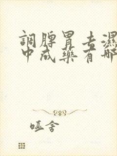 调脾胃去湿气的中成药有哪些