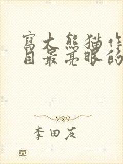 写大熊猫作文题目最亮眼的