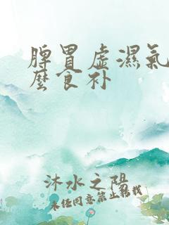 脾胃虚湿气重怎么食补