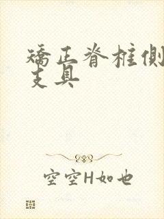 矫正脊椎侧弯的支具