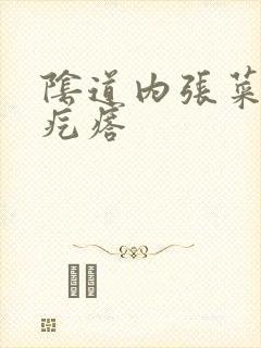 阴道内张菜花状疙瘩