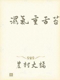 湿气重舌苔黄腻