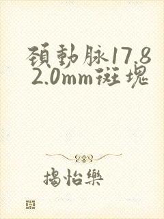 颈动脉17.8 2.0mm斑块