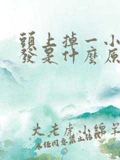 头上掉一小块头发是什么原因