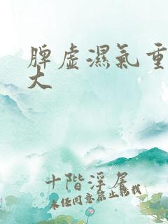 脾虚湿气重湿热大