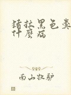 猪拉黑色粪便是什么病